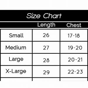 American Eagle Size Chart Jeans For Women