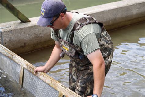 Fish And Boat Commission Takes Emergency Steps After Invasive Species