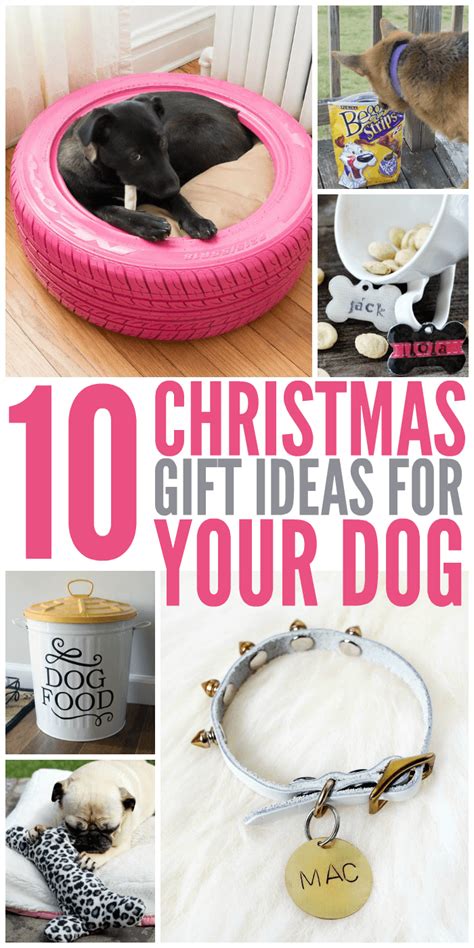 Go through these 40 best christmas gifts for dogs to have a. 10 Christmas Gift Ideas for Your Dog - Glue Sticks and ...