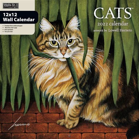 23 Best 2022 Cat Calendars