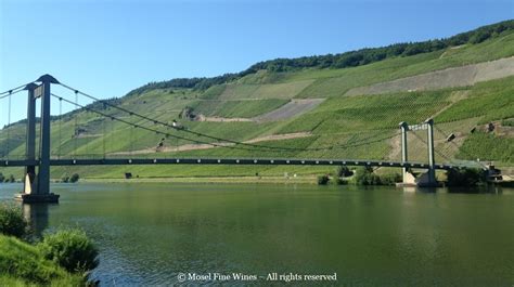 Check spelling or type a new query. Dr. Loosen Wehlener Sonnenuhr Riesling GG Reserve 2012 ...