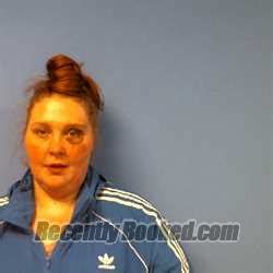 Recent Booking Mugshot For Alicia Lynn Tyler In Troup County Georgia