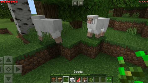 Below are all versions of the game, including the most recent, which you can download absolutely free and without any virus. Minecraft Latest 2020 Mobile Game play Walkthrough Making ...