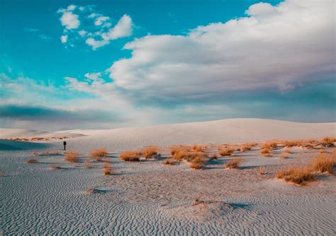 The White Sands, New Mexico [OC], [4901x3456] : r/EarthPorn