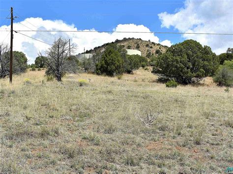 Xx Wendy, Silver City, NM 88061 | MLS #20232569 | Zillow