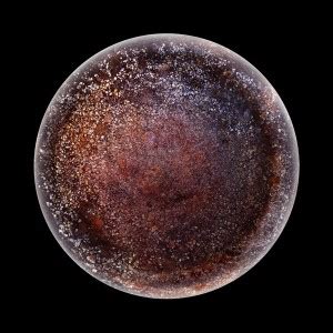 Christopher Jonassen Devour Worn Out Frying Pans Looking Like Planets Internationalphotomag