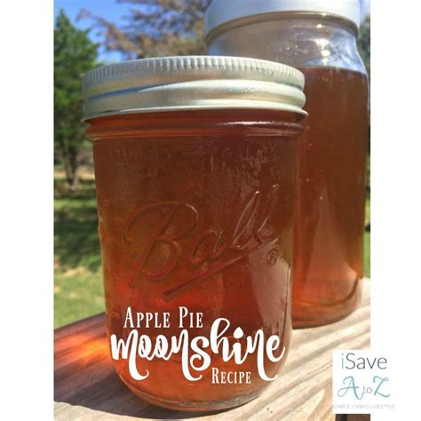 Self care and ideas to help you live a healthier, happier life. Apple Pie Moonshine | Recipe | Apple pie moonshine, Watermelon moonshine recipe, Whipped vodka