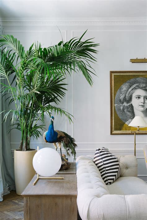 One of the most important things to consider before buying indoor palm plants is their mature size potential. Dream Living Room Makeover Ideas: Tips On Redesigning Your ...
