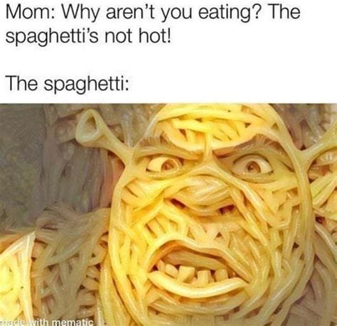 The Best Spaghetti Memes Memedroid