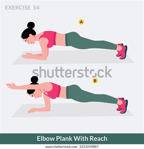 Elbow Plank Reach Exercise Woman Workout Stock Vector Royalty Free