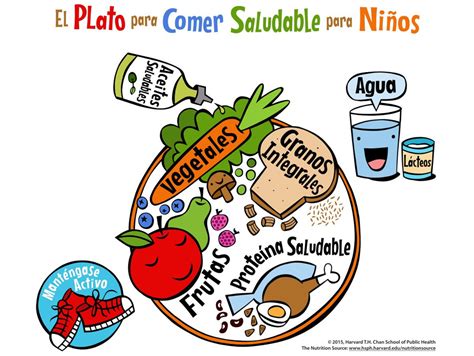 El Plato Para Comer Saludable Para Niños Facilita El Aprendizaje De