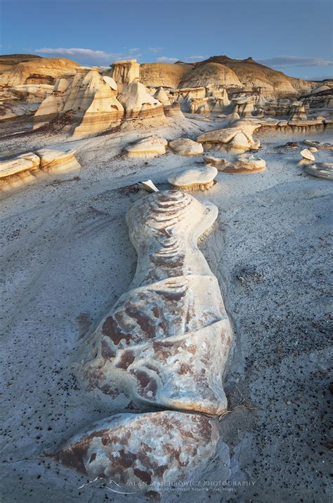 Check spelling or type a new query. - Alan Majchrowicz