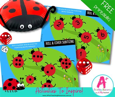 Free Subitising Ladybird Printables A Plus Teaching Resources