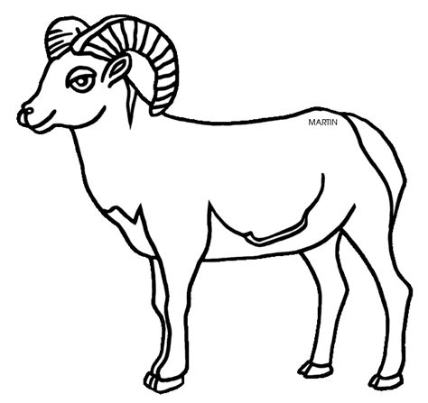 Rocky Mountain Bighorn Sheep Clipart 20 Free Cliparts Download Images