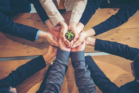 A Sustentabilidade Dentro Das Empresas Deve Seguir As Bases Do