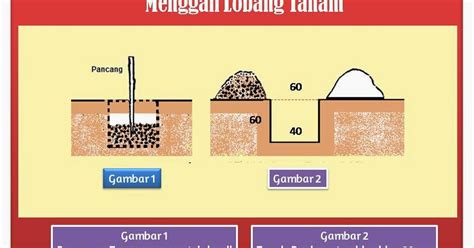 April 23, 2015 akar, baja kelapa sawit, baja sawit, penanaman, penjagaan, penyakit. Membangun Kebun Kelapa Sawit: Penanaman Kelapa Sawit