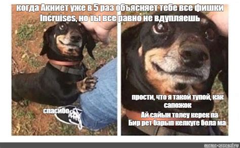 meme когда Акниет уже в 5 раз объясняет тебе все фишки incruises но ты все равно не вдупляешь