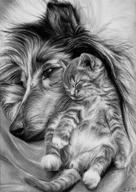 Aww Nice Picture Pencil Drawings Of Animals Animal Drawings Animal