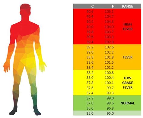 Understanding Normal And Elevated Body Temperature