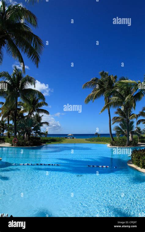 Tropical Swimming Pool Stock Photo Alamy