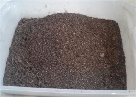 When you're growing plants from seeds, a seed starting mix provides seeds with the moisture and nutrients they need to ensure healthy growth. DIY Seed Starting Mix: Organic and Dirt cheap