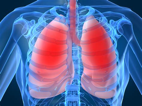 Sistema Respiratório Parte 1 Odontoup