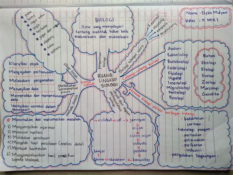 Tugas Mind Map Ruang Lingkup Biologi Kelas X Mia 1 Kelas Biologi