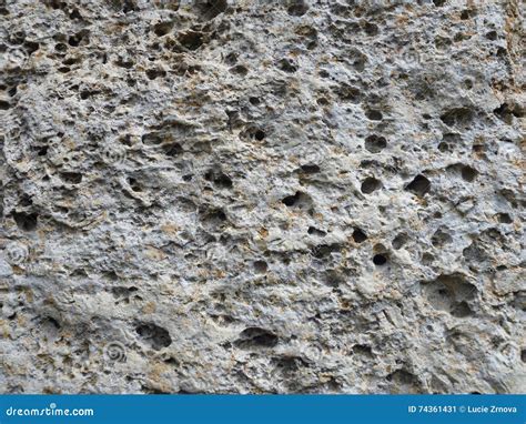 Texture Of A Limestone Rock With Holes Stock Image Image Of Pattern