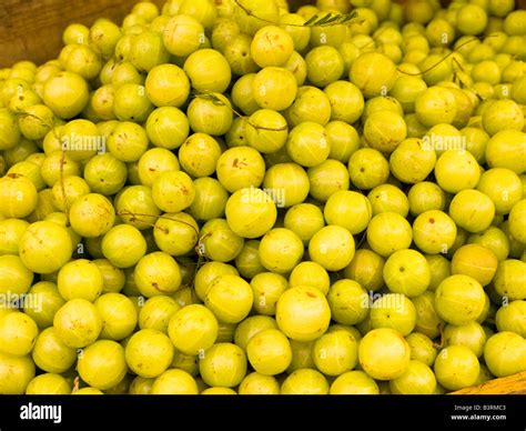 Fruits Of Kerala Hi Res Stock Photography And Images Alamy