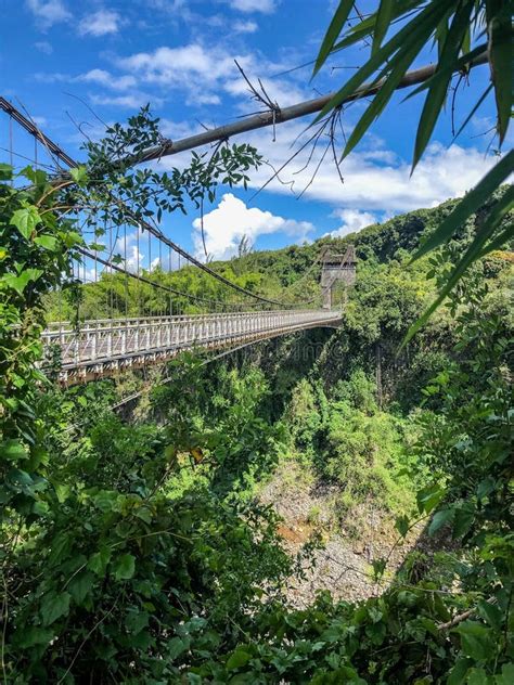 Suspended Bridge On La Reunion Island Stock Photo Image Of Order