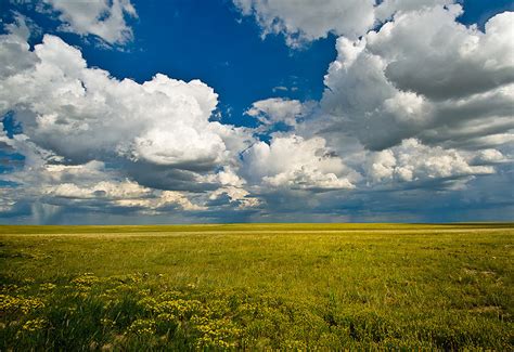 Colorado Summer Prairie Lincoln County Co Fine Landscape And