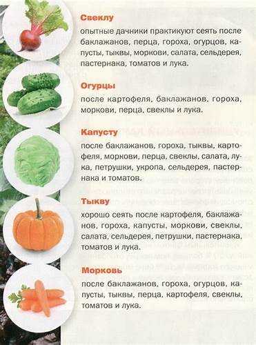 Как похудеть на огурцах и кефире