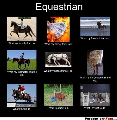 Equestrian What People Think I Do What I Really Do