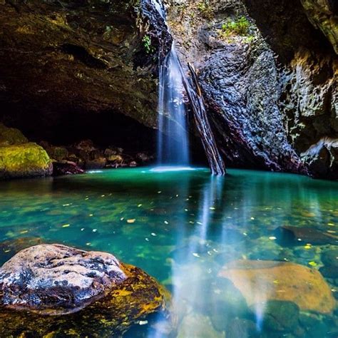 The Natural Bridge Springbrook National Park Come To See The