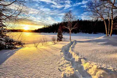 Winter Morning Sunrise Landscape Image Free Stock Photo Public