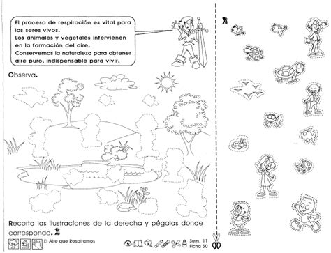 Fichas De Primaria Ficha De Los Seres Vivos