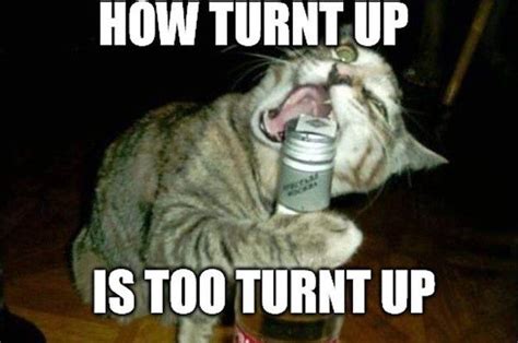 Community Post The Stages Of Getting Turnt Up Humor Community I
