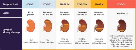 Chronic Kidney Disease Stages