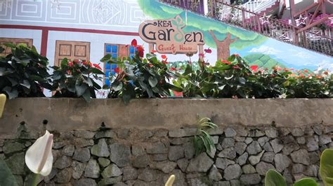 Kea garden guest house cameron highlands подробнее. Percutian ke Cameron Hingland | Kea Garden Guest House