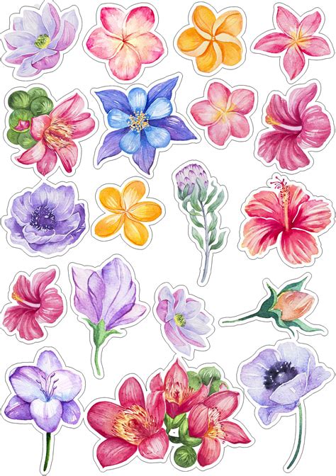 Stickers De Flores 1b6