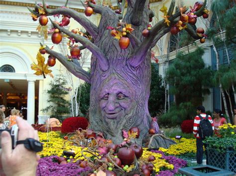 Check spelling or type a new query. "Botanischer Garten Herbst-Deko" Hotel The Bellagio (Las ...