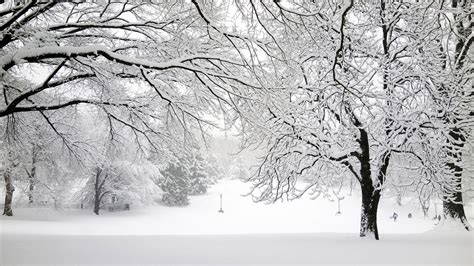 Snowstorm Wallpapers Top Free Snowstorm Backgrounds Wallpaperaccess