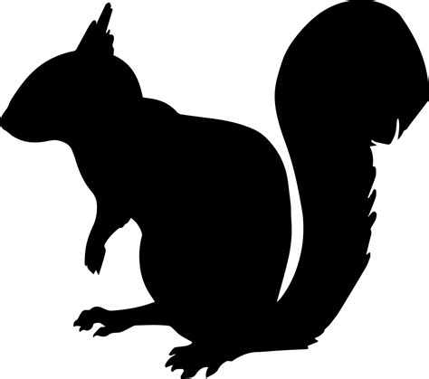 Squirrel Silhouette Free Stock Photo Public Domain Pictures