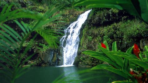 Hawaii Falls Waterfalls Oahu Widescreen Wallpaper Other Wallpaper