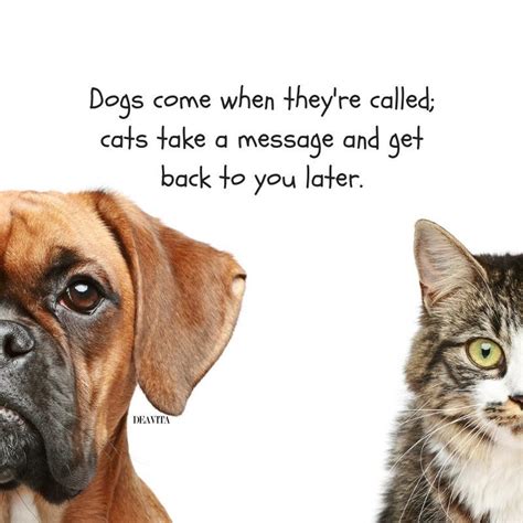 The Best Funny Quotes About Pets Dogs And Cats Cats Dogs Funny Pets