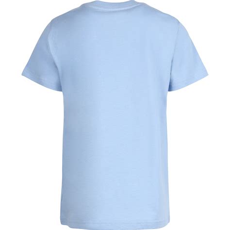 Polo Ralph Lauren Boys T Shirt In Light Blue — Bambinifashioncom