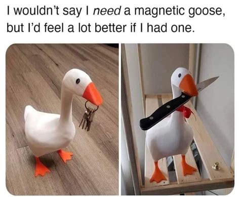 The Best Goose Memes Memedroid