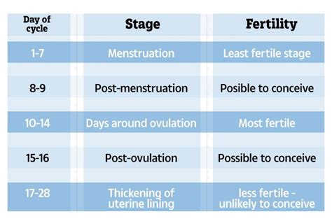 As it may be hard to keep track of your ovulation window if your periods are irregular, it is ideal to get cosy with your partner every alternate day or every day, to increase your chances of getting pregnant. Menstrual Cycle: How Long After Your Period Do You Ovulate ...