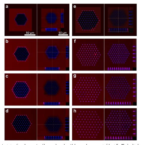 Figure From D Micropatterned Surface Inspired By Salvinia Molesta Via Direct Laser
