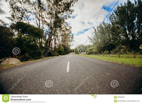 Straight Road With Trees In Both Sides High Speed Concept Stock Photo